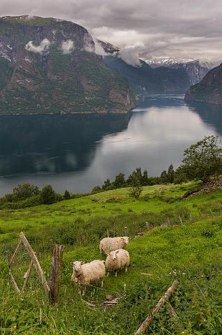 094 Aurlandsfjorden.jpg